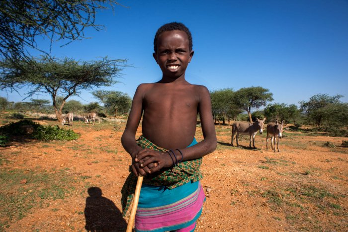 Lchekutis, Maasai Child Shepherds